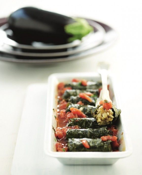 NTOLMADAKIA MELITZANA RYZI