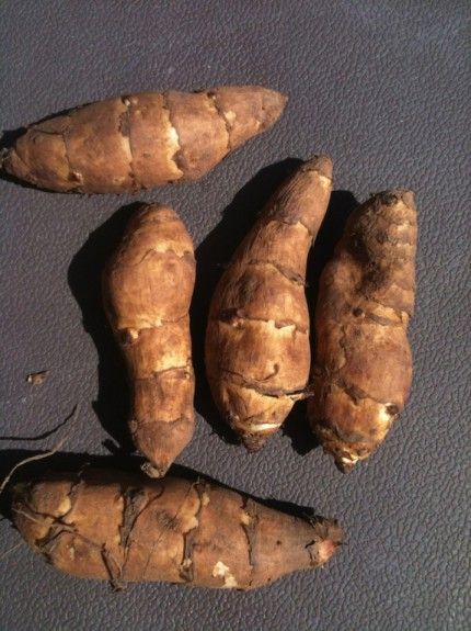 agginara_olivemagazine.gr