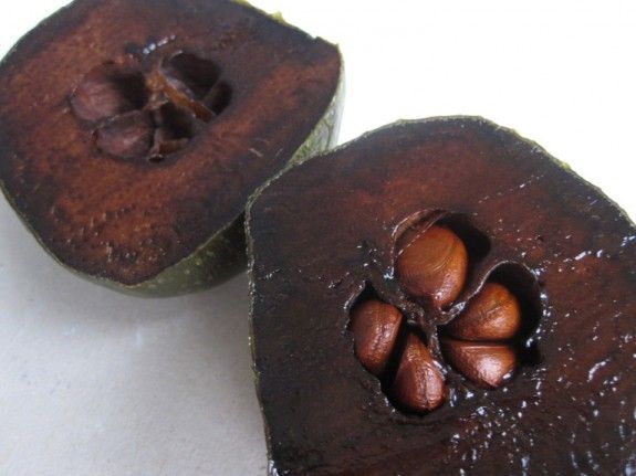 black sapote 2