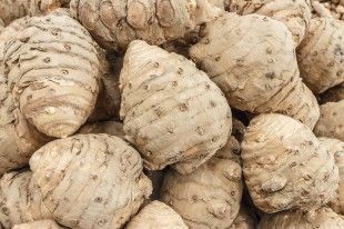 shutterstock_133554551