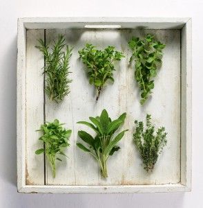 aromatika_olivemagazine.gr