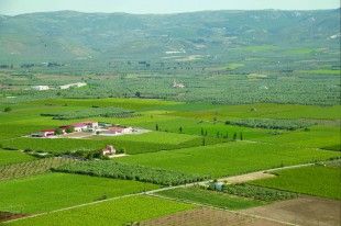 Κτήμα Χατζημιχάλη