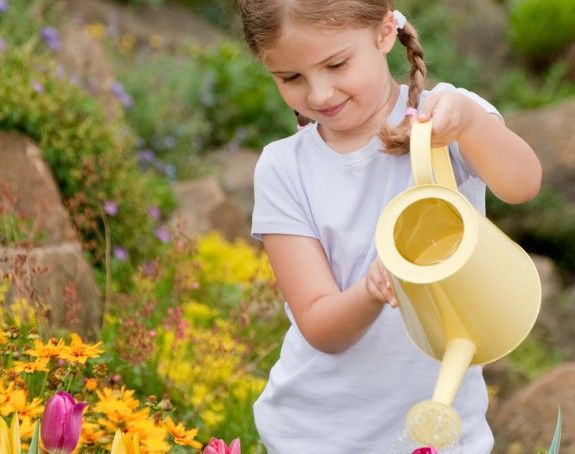 shutterstock_97842500