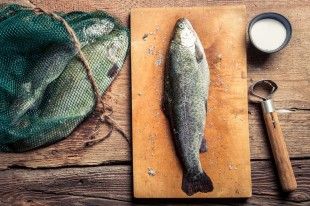 ANOIGMA shutterstock_149755829