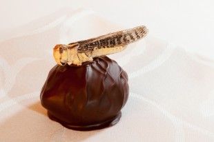 ANOIGMA shutterstock_161737436_2