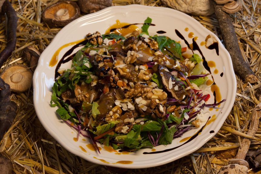 IMG_0574_olivemagazinegr