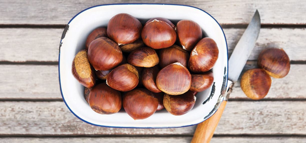 kastana-olivemagazinegr