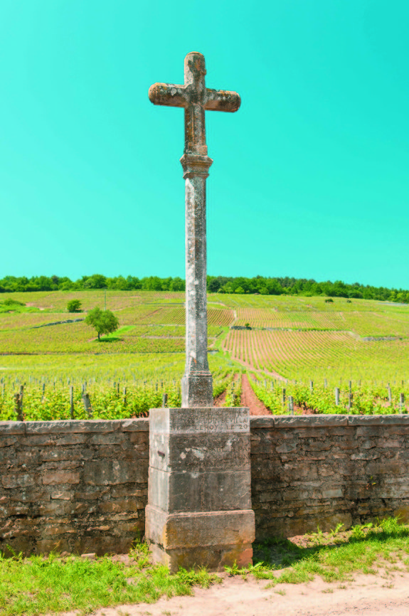 Domaine_de_la_Romanée-Conti_(7309836076)