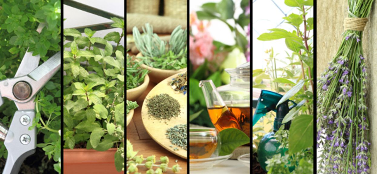 ANOIGMA new_142681615