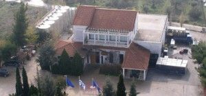 Γιώργος Βασιλείου: Το μέλλον του αττικού αμπελώνα έχει προοπτικές