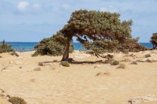 Gavdos 242473189edited