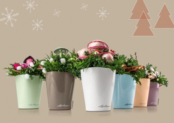 FP_MiniDLT_6_XMAS_2015_v2