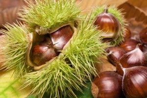 17η Γιορτή Κάστανου στα Άνω Δολιανά
