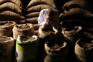 Draculi coffee 0342edited