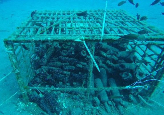 anoigma–thalassitis