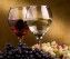 anoigma-WINES_GRAPES