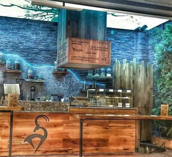 wild-in-the-city-anoigma