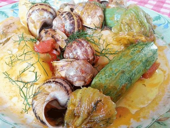 xoxlioi-kolokithia-maratha-1