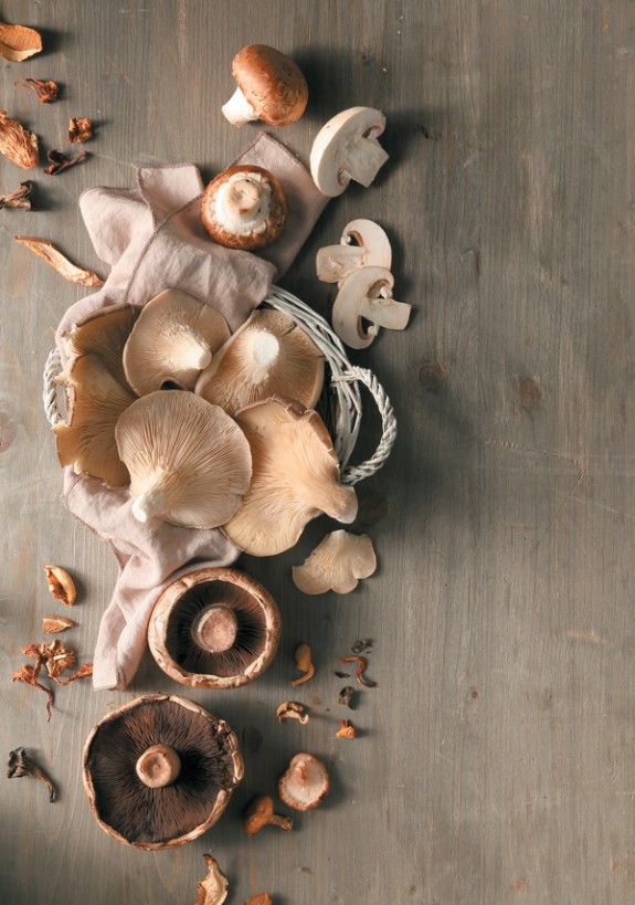 21161108_21159_manitaria-anoigma