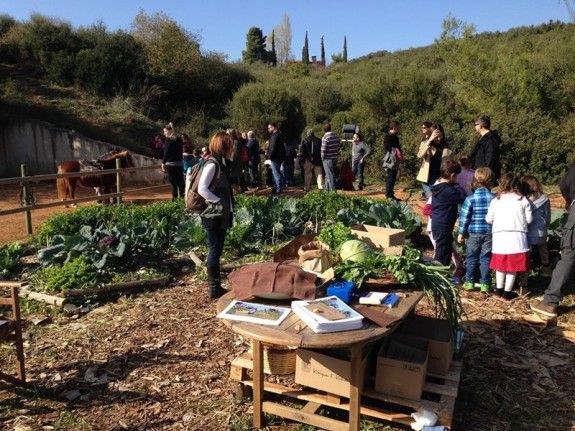 ktima-kokotou-anoigma