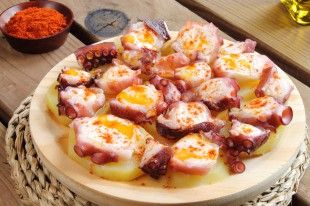 PULPO-GALLEGA-SPAIN
