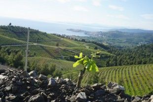 anoigma-porto-carras