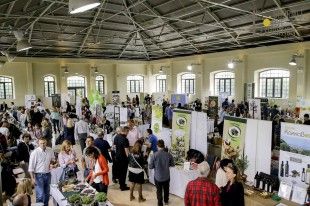 exhibition–ANOIGMA