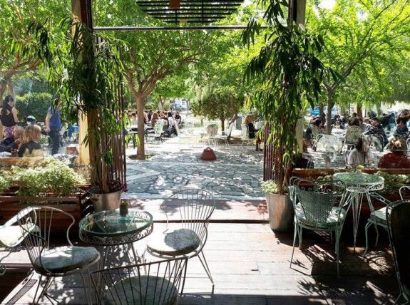 ble-papagalos-anoigma