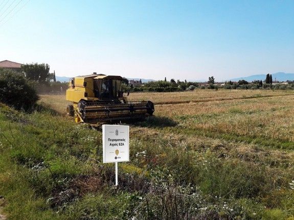 Πειραματικός Αγρός ΕΖΑ