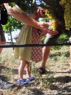 391e65c2-e6ca-4330-aecf-f43208b43e54