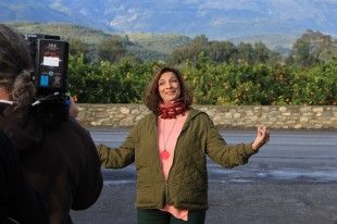 13_Peloponnese-Oranges