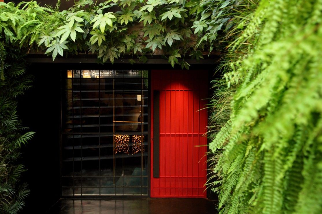 Red Door_03
