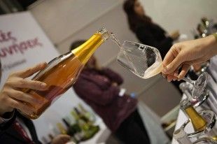 23130527_2035635003331633_5672286064444722121_n