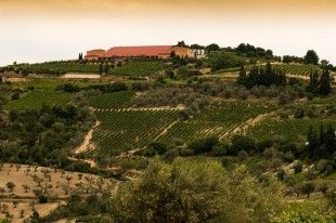 anoigma-2-SEMELI-WINERY-ΙΟΥΝΙΟΣ-2017-(1)