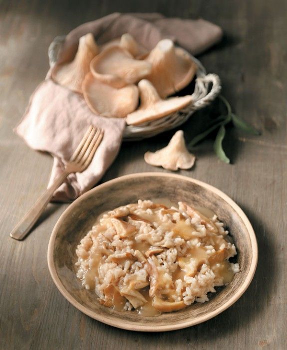 21161108_21147_rizoto-me-manitaria