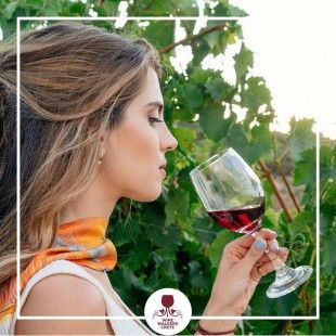 28870246_1779292895455454_7662601382712573952_n