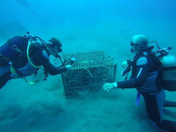 DCIM100GOPROGOPR0818.