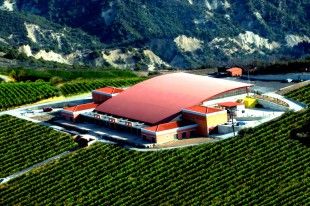 SEMELI WINERY _ NEMEA GREECE (1)