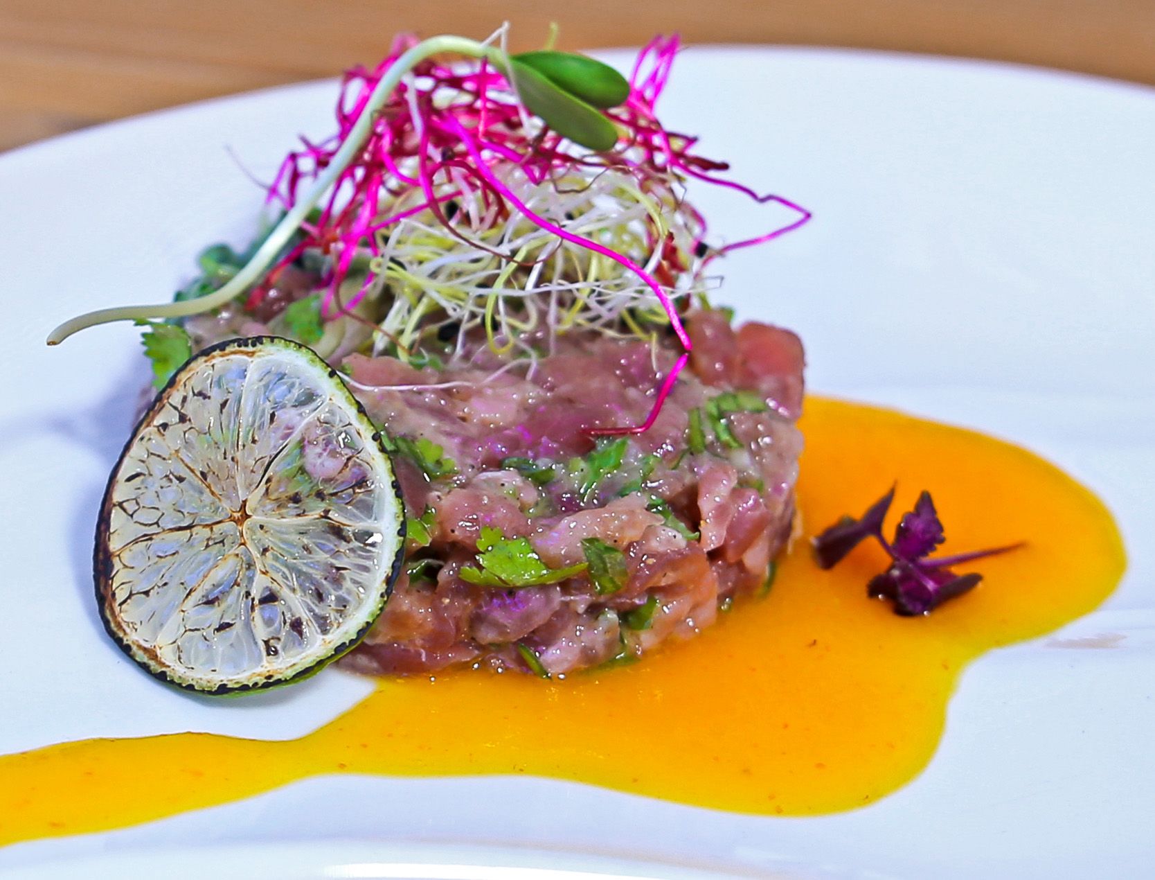 traganoskavouras_tartar_small