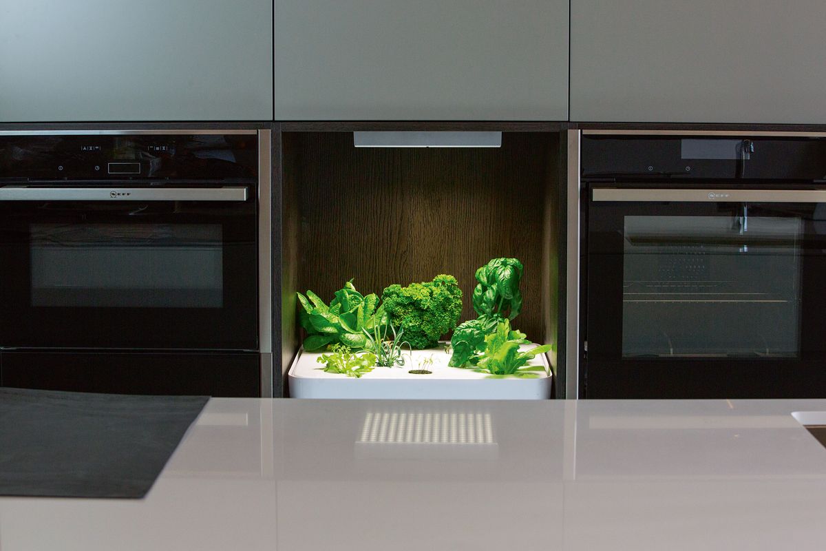 Vegidair-kitchen-herb-garden-8