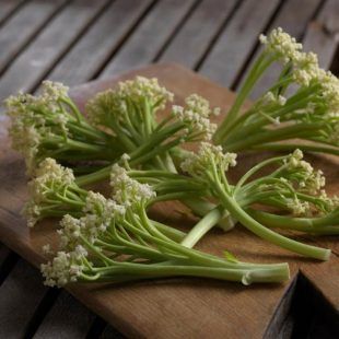 72a12fec4047ef3b3b866d7cff8c98c82ec4c9ad