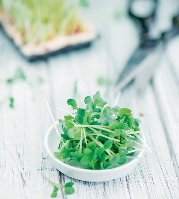 20181105185236_kardamol