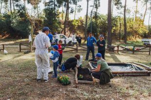 20181109172845_ΜΕΛΙΣΣΑ ΚΙΚΙΖΑΣ_ ΔΡΑΣΗ ΕΘΕΛΟΝΤΙΣΜΟΥ (6)