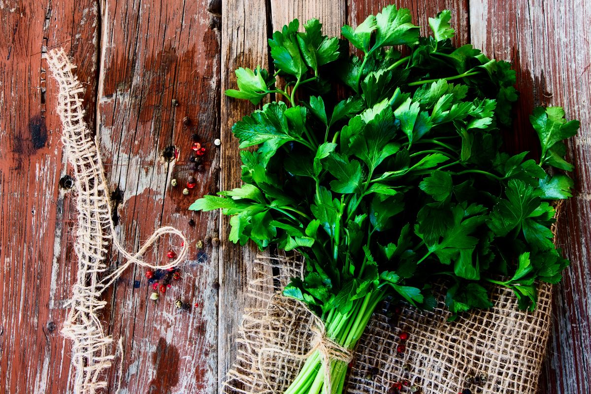 20181127150031_MAINTANOS