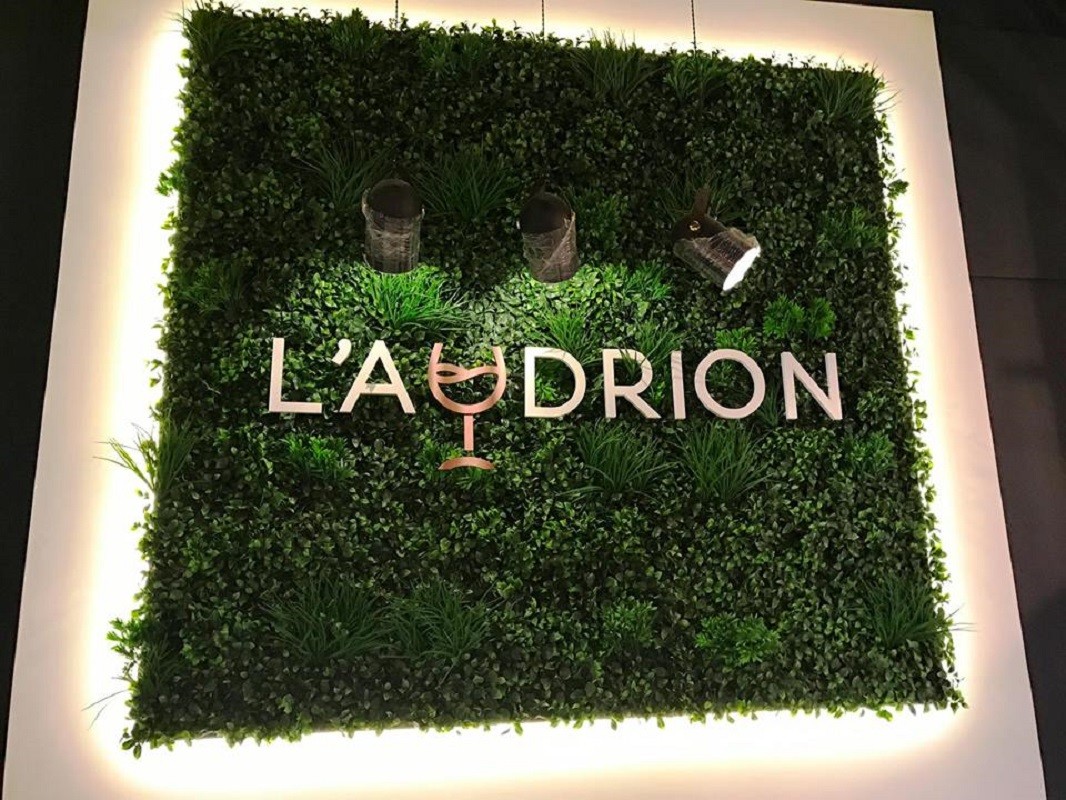 20190201184251_laudrion1