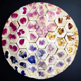 20190204192304_tart1-anoigma