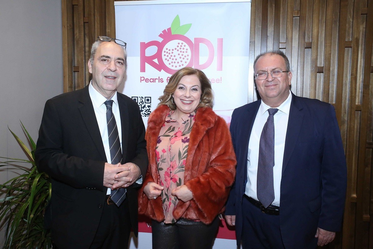 20190205163150_Φωτογραφία 2