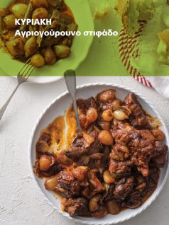 20190208174405_PIATO 10-2-2019