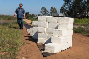 cheese-wall-1553791328