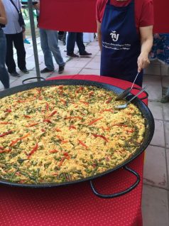 34962697_1668299493239169_8411286093042810880_n